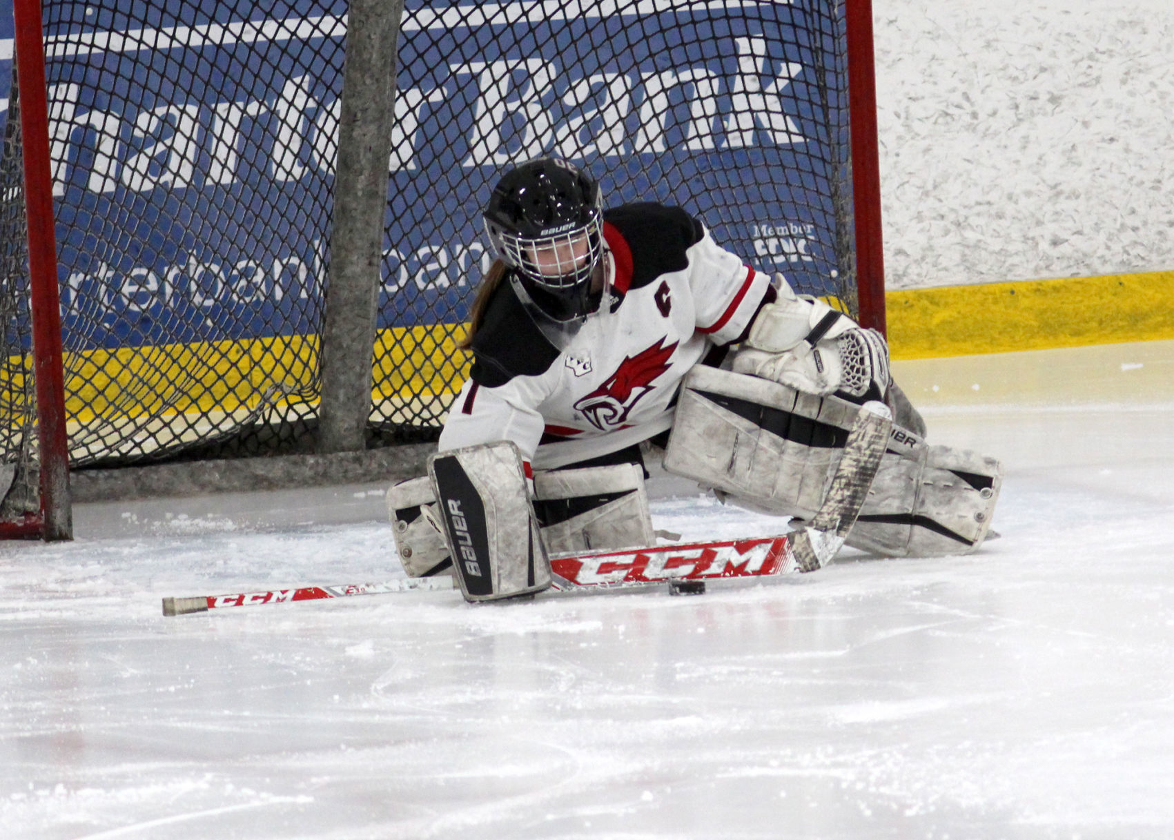 Medford at Chippewa Falls/Menomonie girls hockey 1-30-20